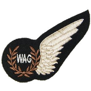 Half Wing Wireless Operator / Air Gunner