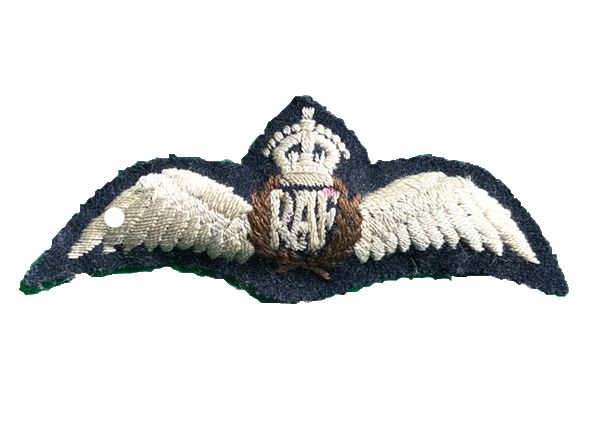 RAF Pilot Wing